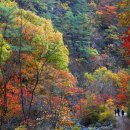 별그대민박