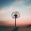 참좋은사람들
