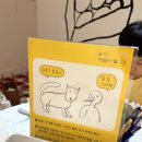 그림자 체험놀이 이미지