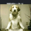 놀자 - 제주시 중산간서로 5136-1 | 놀자
