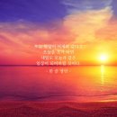 인셀덤구미