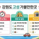 대진1리해변 | 강원도 고성 가볼만한곳, 여행 취향별 알짜 코스 정리