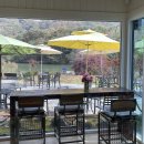 가비가배 이미지