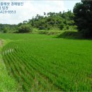 공주시탄천면덕지보건진료소 이미지