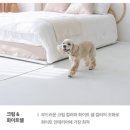 강아지 매트 추천 국산 이리로 양면롤매트 후기