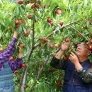 김영태농장 이미지