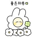 이안올로지 이미지