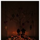 하리네집 이미지