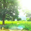 김명관 고택 이미지