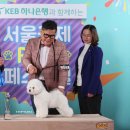 리사앤루이 이미지