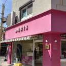 파티세리선물 | 속초 빵집 속초중앙시장 도리스파티세리, 에그타르트와 휘낭시에 선물 후기