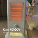 모멘텀 무드등 전기 오방난로 내돈내산 사용 후기