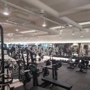 라인업 휘트니스 이미지