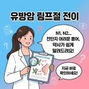 Z0011 | 유방암 림프절 전이(N1, N2), 유방암 진단지 쉽게 풀어드립니다.