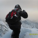 꿈의궁전 이미지