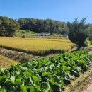 대조리마을회관 이미지