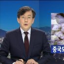 중국산 `폐기물 다진마늘` 한국 식탁 오른 사연 이미지