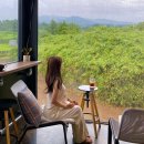 동복목장 | 제주 비오는날 여행코스 추천 (일정 망하기 싫으면 이렇게 가야됨)