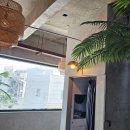 제주도게스트하우스파티 사교장 이미지