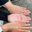 제주 낙산로 181 이미지