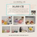 샤인플랜트 네이버블로그