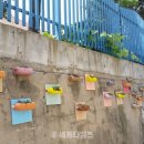 미로다육