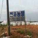 천마리농장 이미지