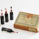 토실 토실 이미지