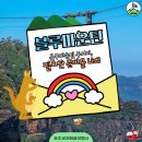 (주)블루관광여행사 | 호주블루마운틴투어전문여행사가 알려주는 시드니블루마운틴일일관광 준비물 옷차림 주의사항