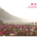 만사형통 이미지