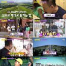 (주)투어닷컴 이미지
