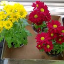 서민정형외과의원 이미지