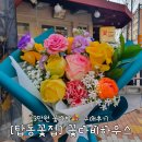 [탑동꽃집] 꽃다비하우스 :: 꽃다발 후기 (내돈내산)