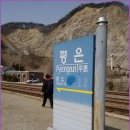 희망역 Daum카페