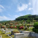 삼덕공원 앞 이미지