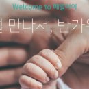 매일선물