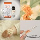 명품 어린이향수 후기 : 에르메스 카브리올