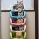3페이지 이미지