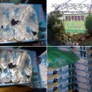 상안농장 이미지