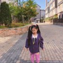 합동슈즈 이미지