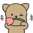 보리미식당 이미지