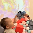 제이블리(J vely) 이미지