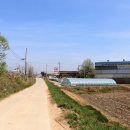 신흥주유소 이미지