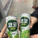 그랜드민트페스티벌 2024 후기(GMF)