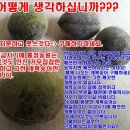 홍정농장 이미지