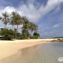 아일랜드 이미지