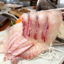 바닷가선창횟집 이미지