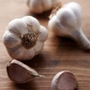 충북농업기술원 마늘연구소 이미지