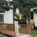 캣월드 | 제주 고양이 카페 🏝️ l 캣월드 🐈‍⬛🐈 l 내돈내산 후기
