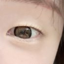 미블리브로우